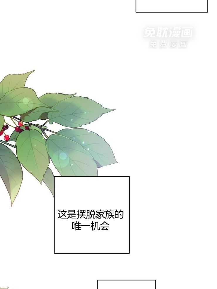 太阳之花第11话图