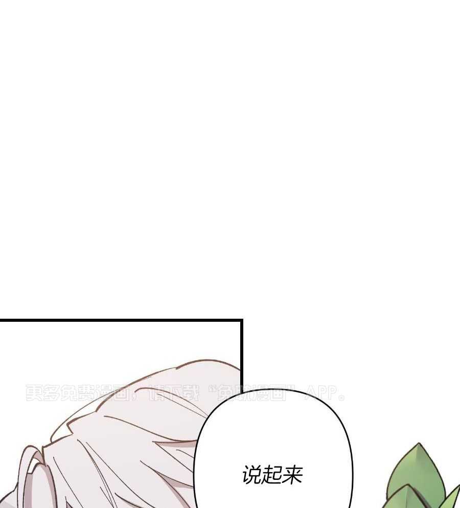 太阳之花第13话图