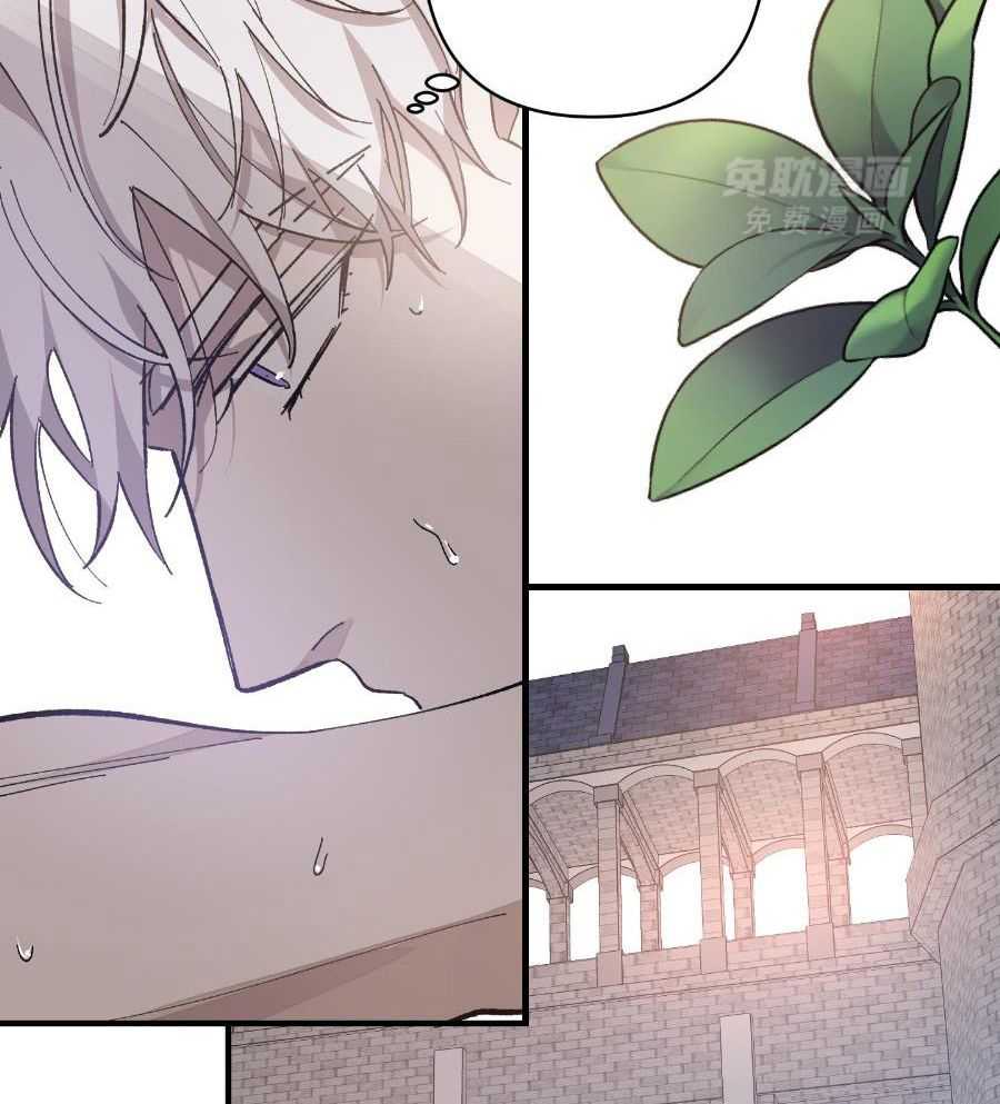 太阳之花第13话图