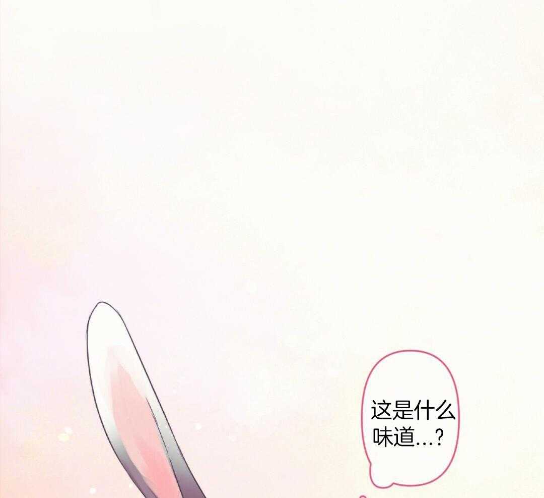 兔神的龙宝宝第10话图