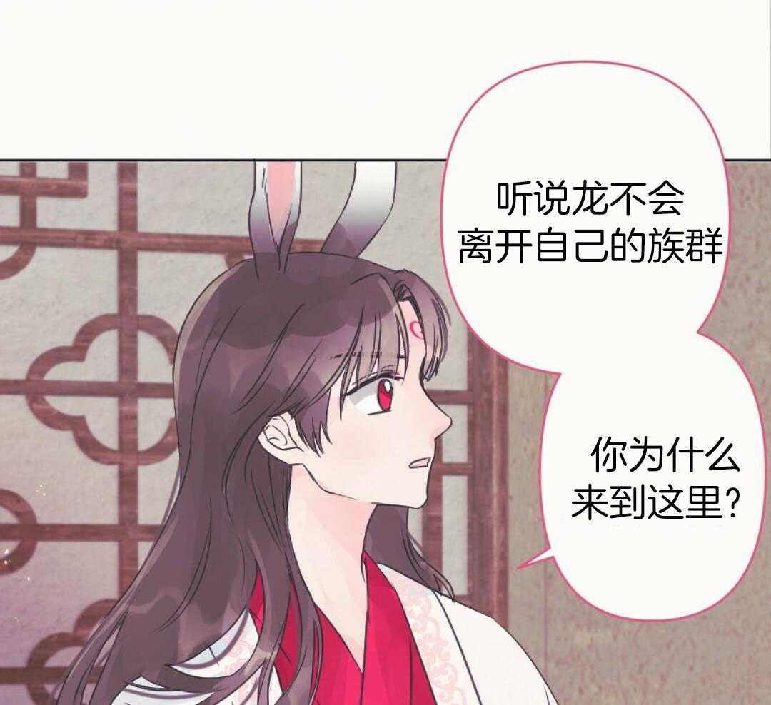 兔神的龙宝宝第11话图