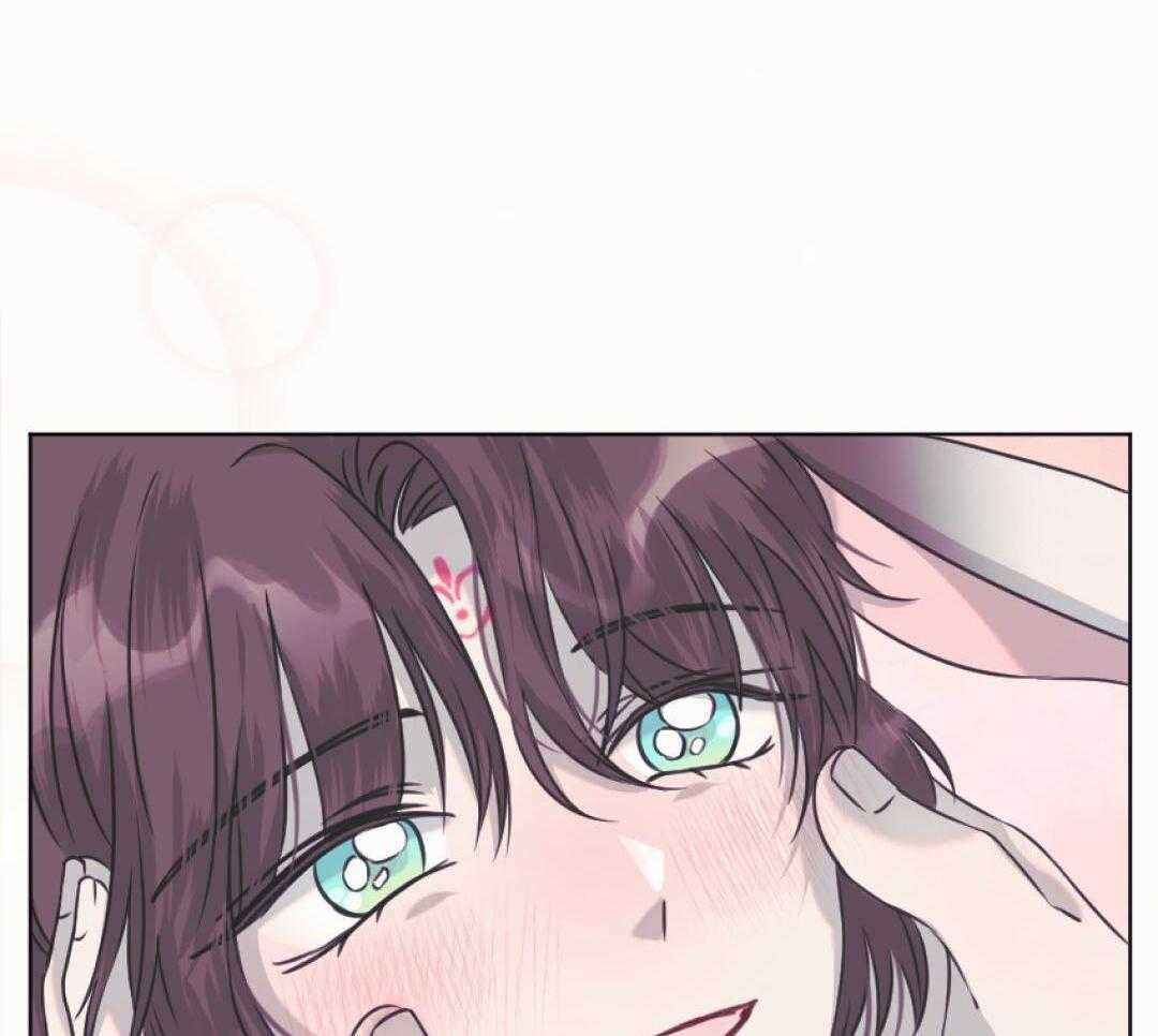 兔神的龙宝宝第70话图