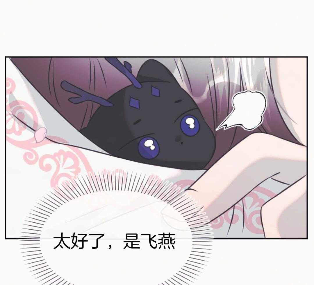 兔神的龙宝宝第73话图