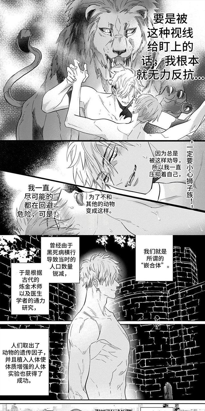 兔子与狮子第1话图