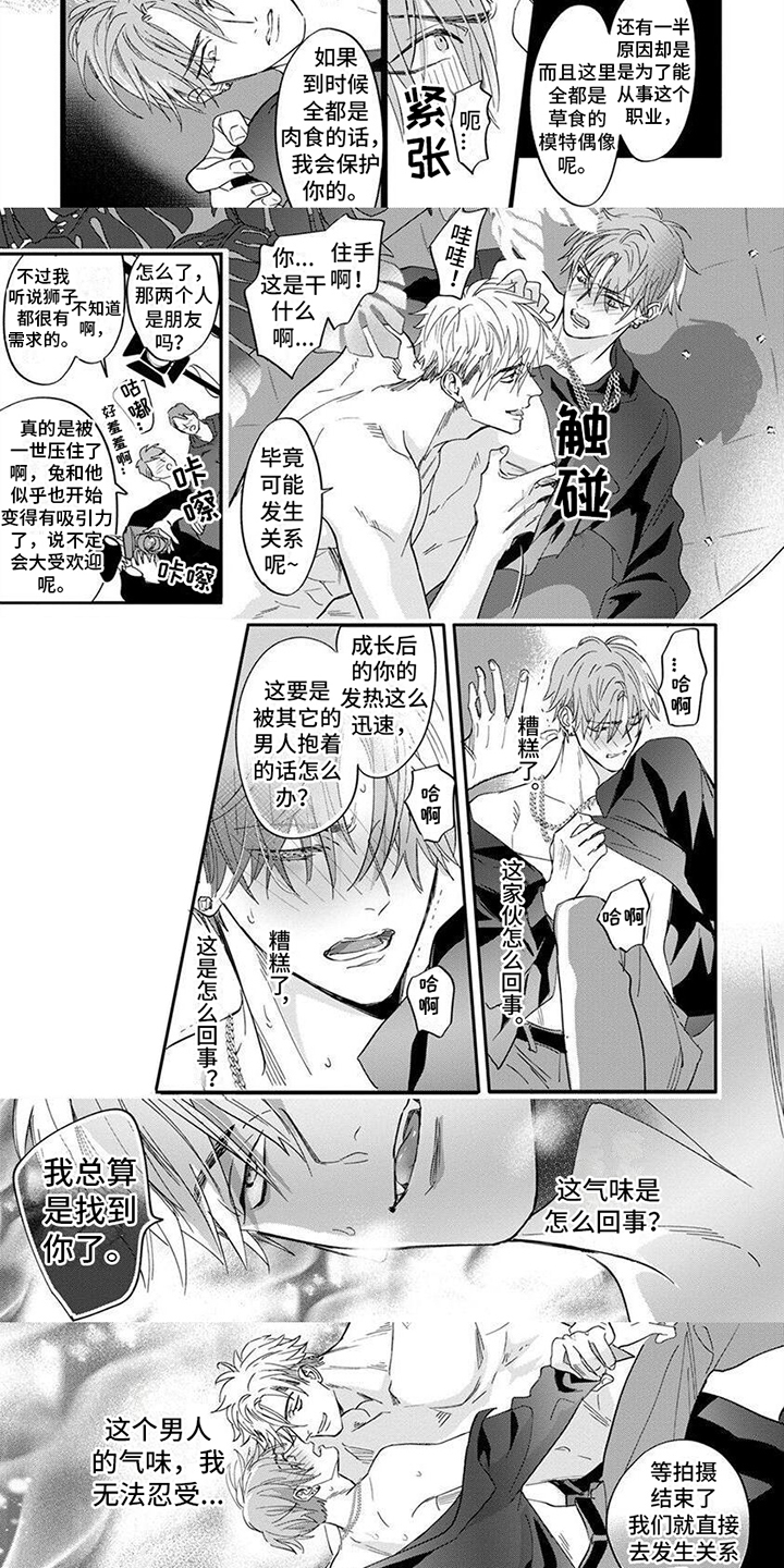 兔子与狮子第3话图