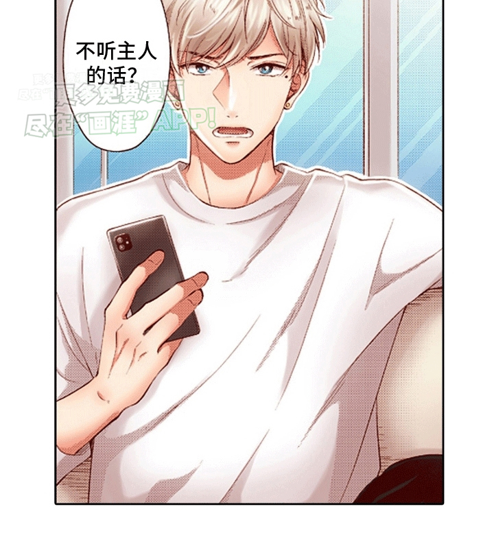 甜蜜夹心饼漫画-图9