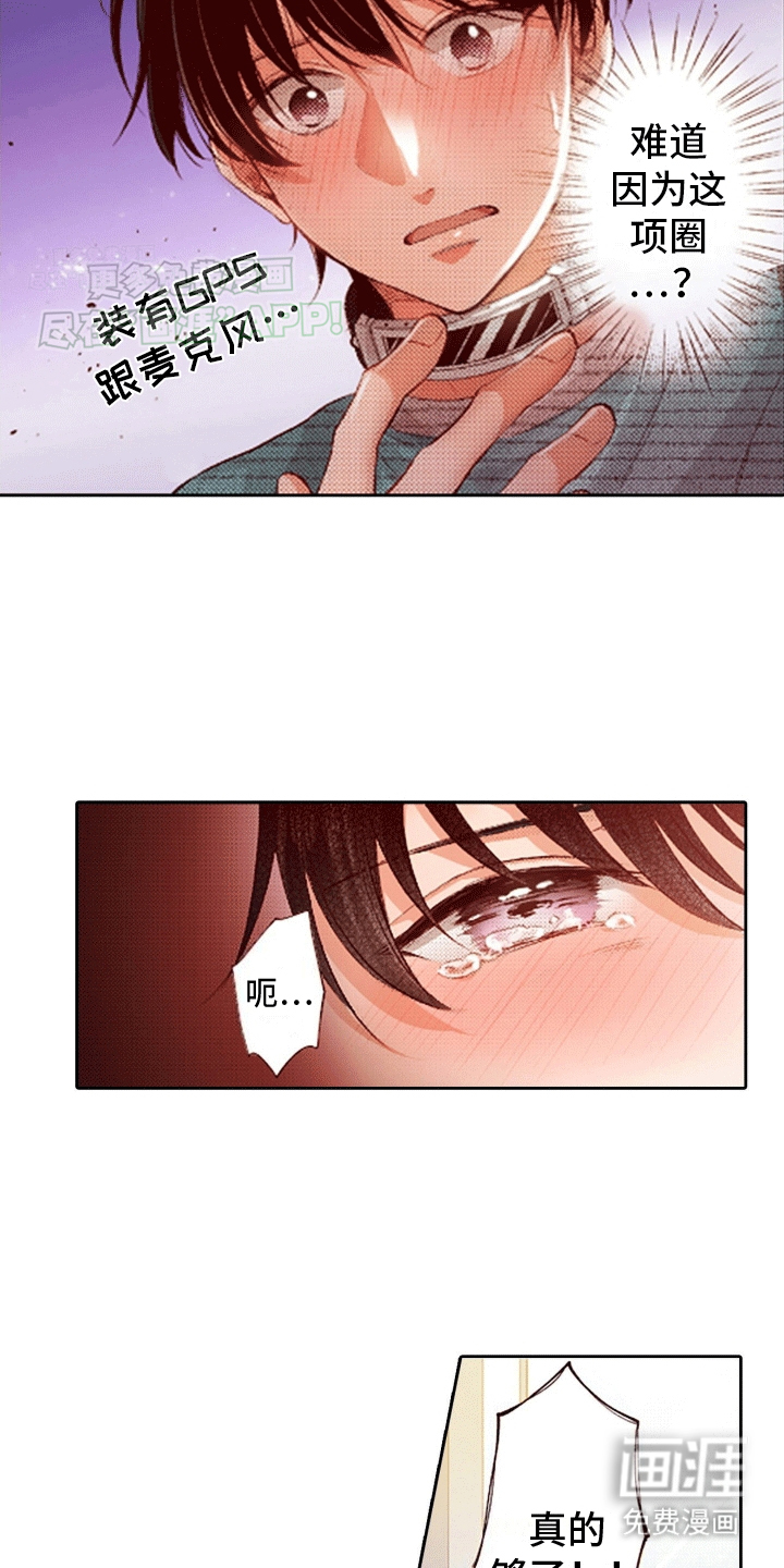 甜蜜夹心饼漫画-图12