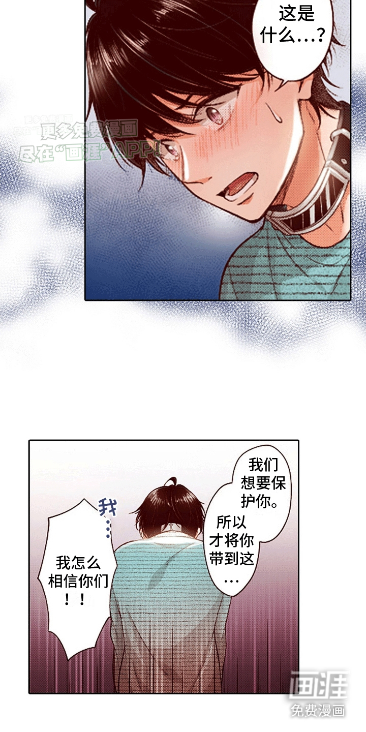 甜蜜夹心饼漫画-图17