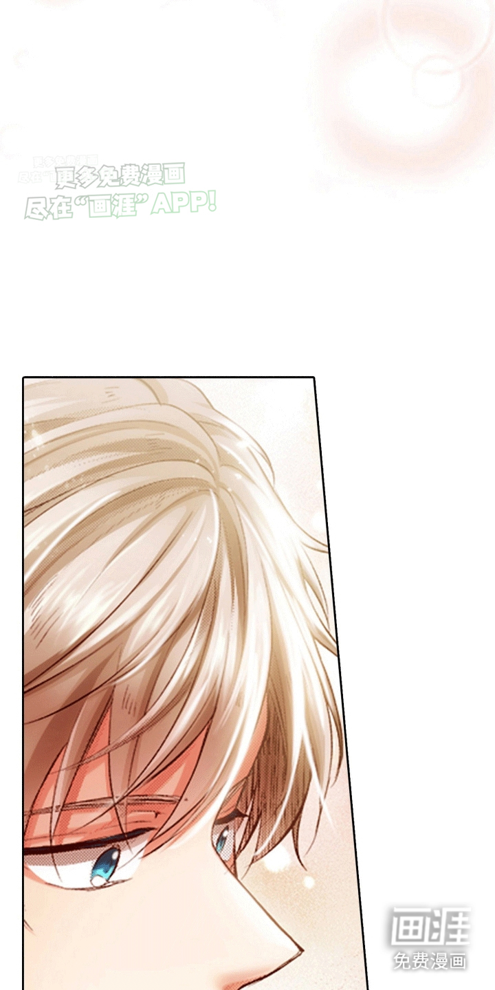 甜蜜夹心饼漫画-图14