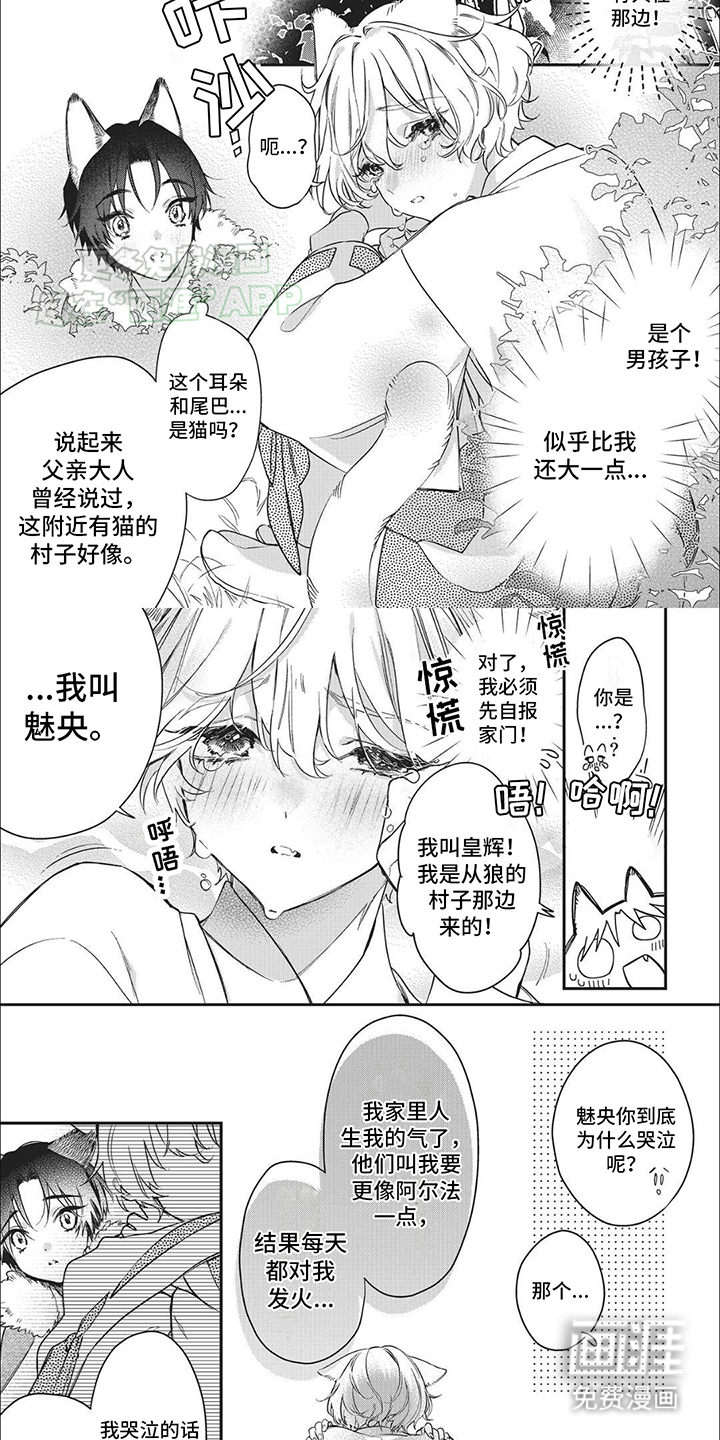 天作之合第1话图