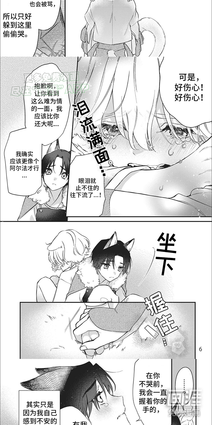 天作之合第1话图