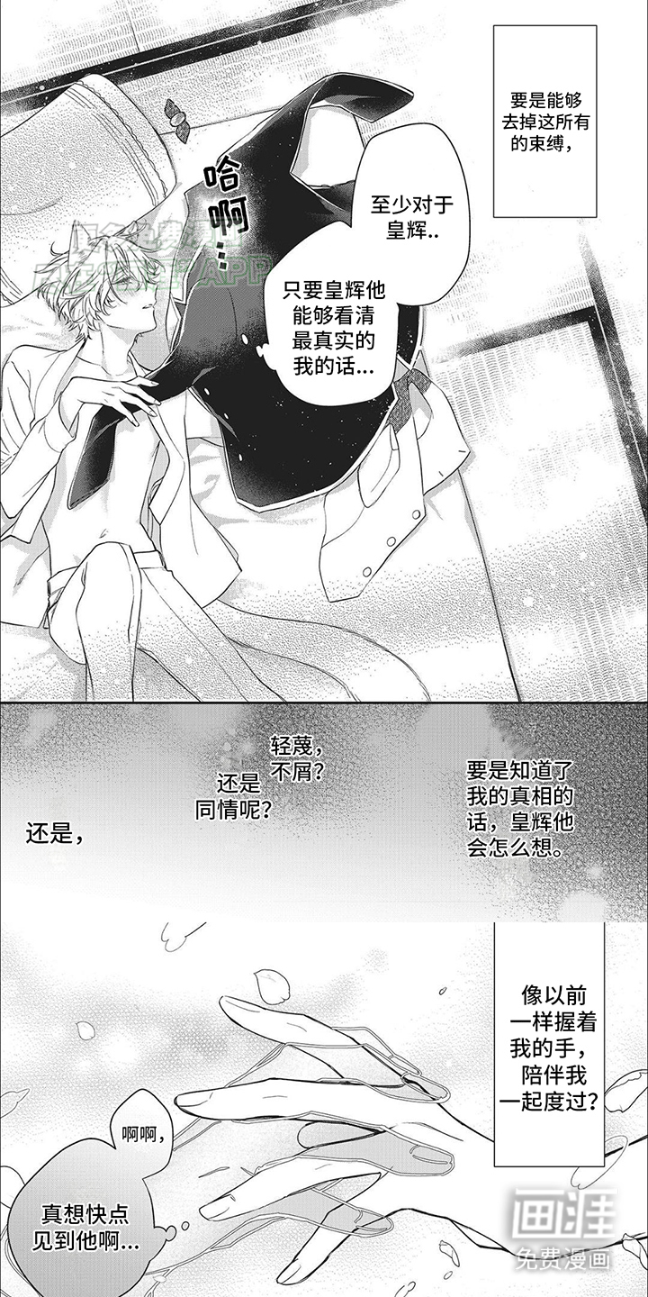 天作之合第3话图