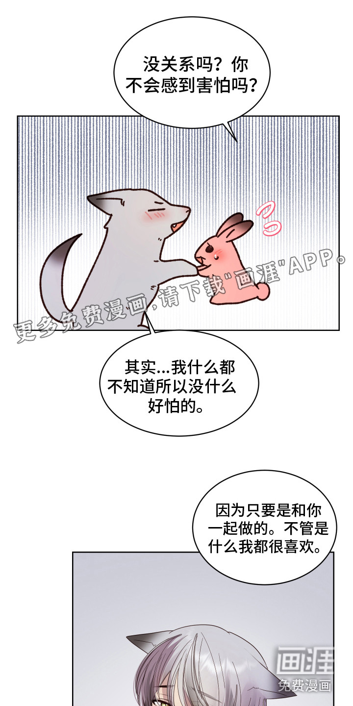 兔兔捕食记第11话图