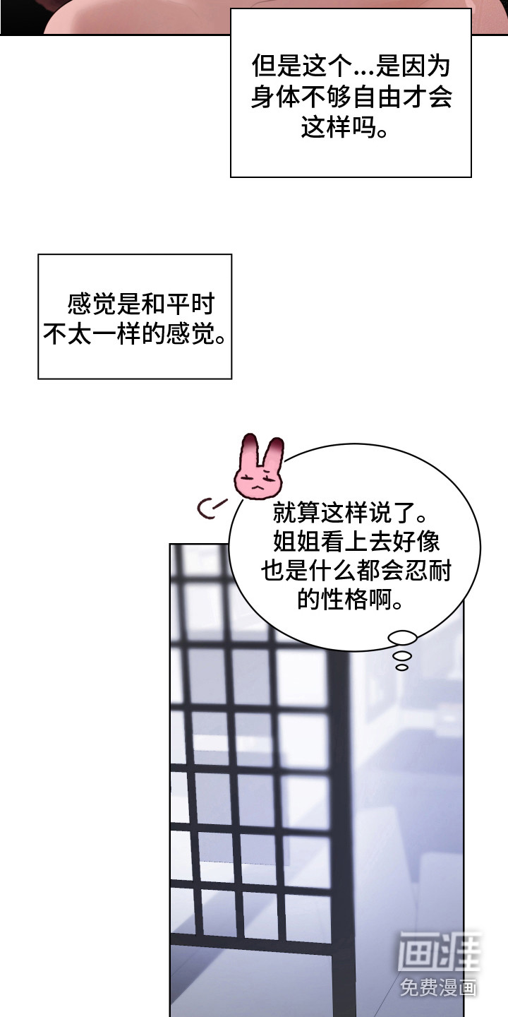 兔兔捕食记第11话图