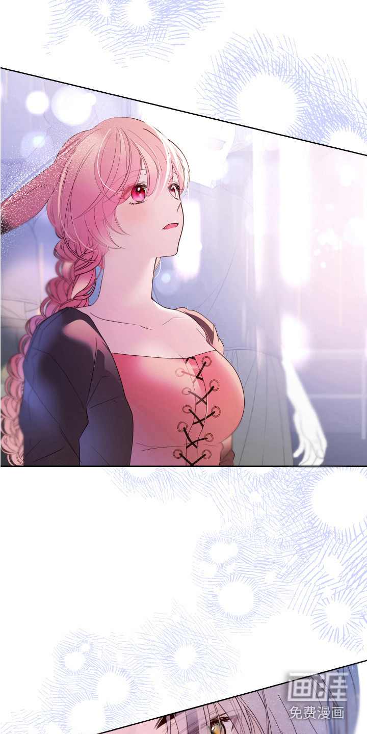 兔兔捕食记漫画-图7