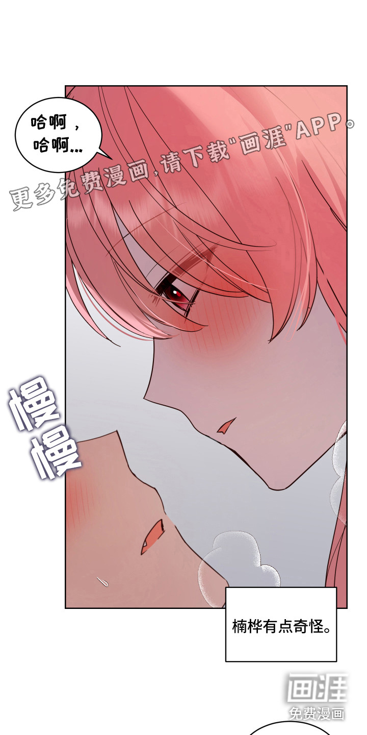 兔兔捕食记第9话图