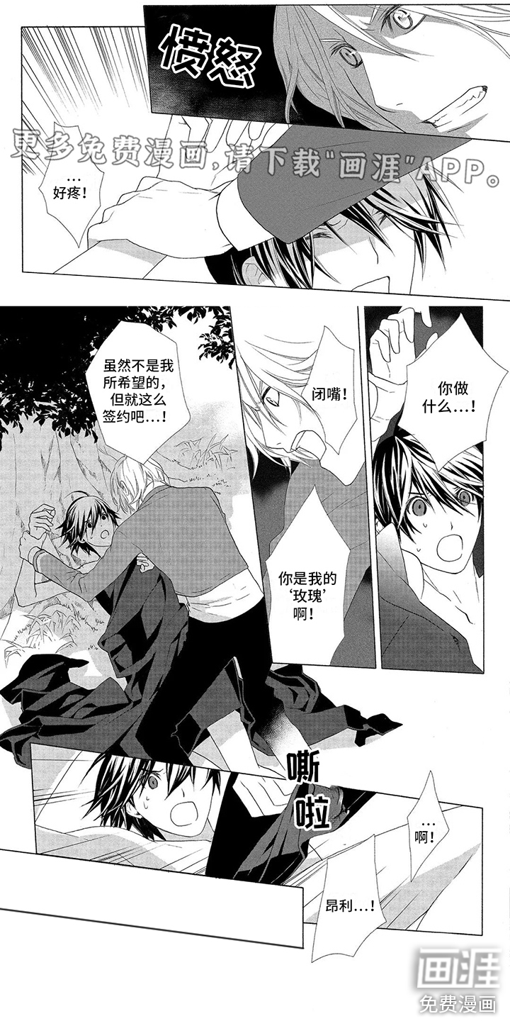 挑食的吸血鬼第21话图