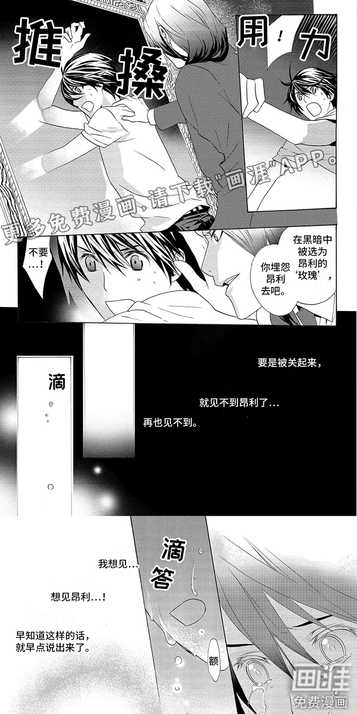 挑食的吸血鬼第27话图