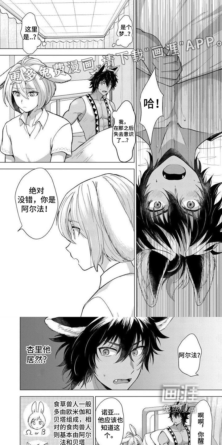 兔兔卡哇一第7话图