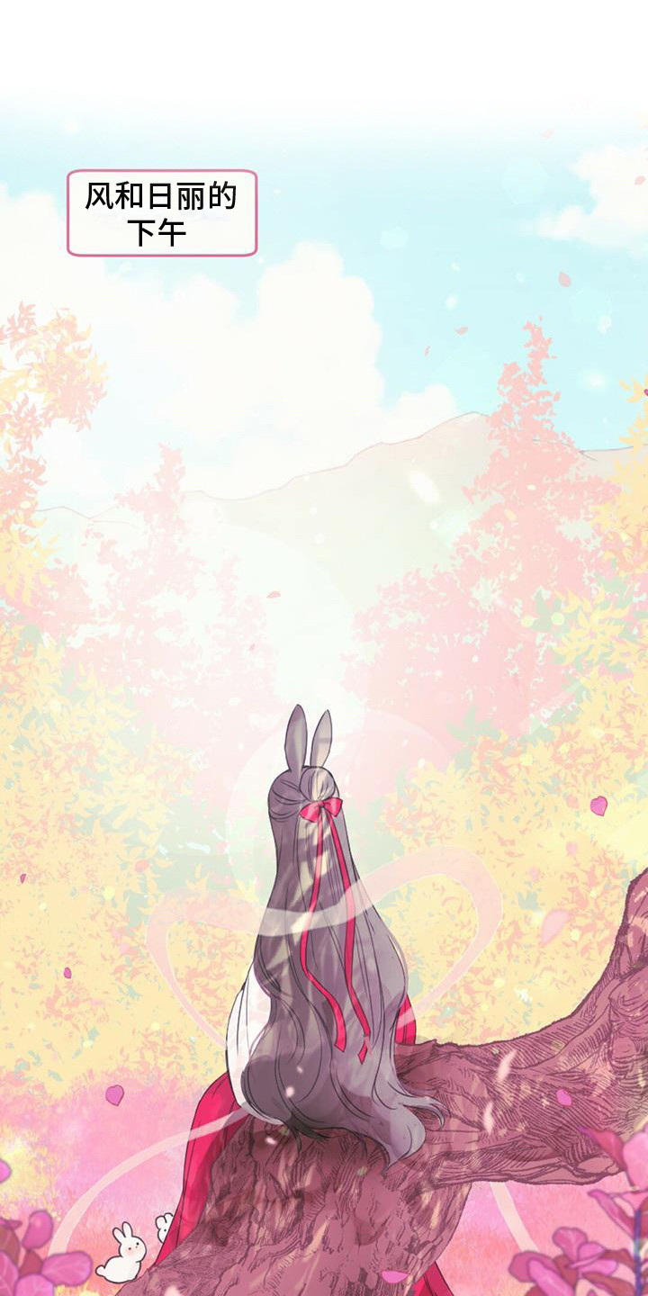 兔兔的小龙宝第1话图