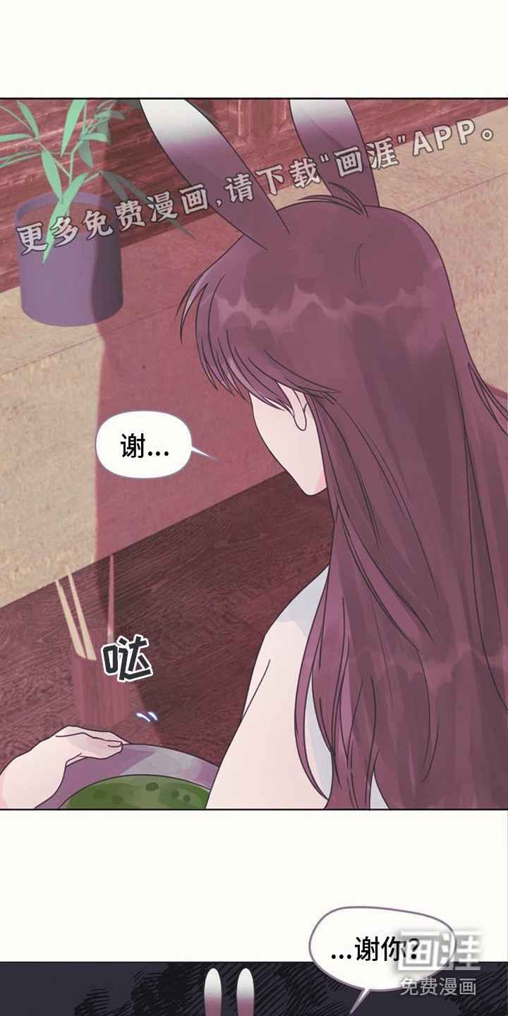 兔兔的小龙宝第10话图