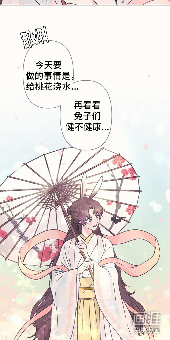 兔兔的小龙宝第11话图