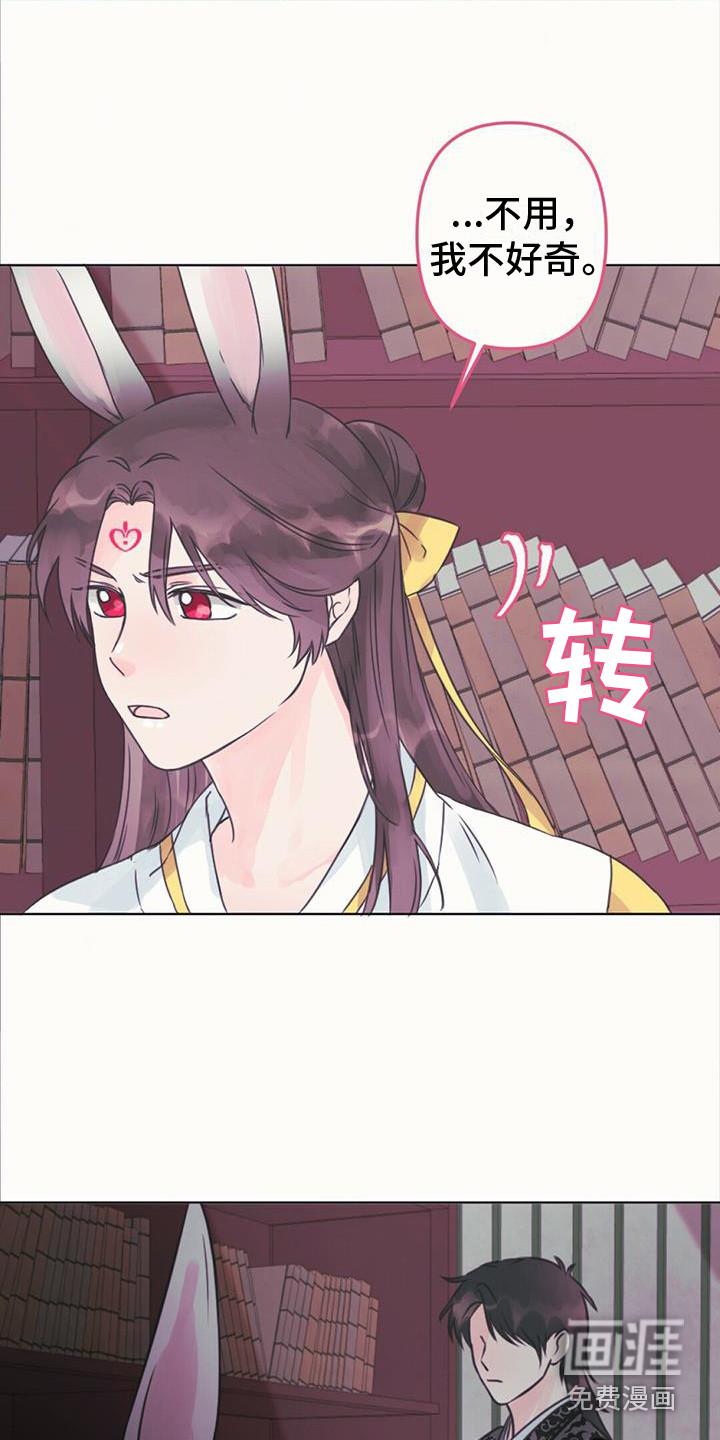 兔兔的小龙宝第14话图