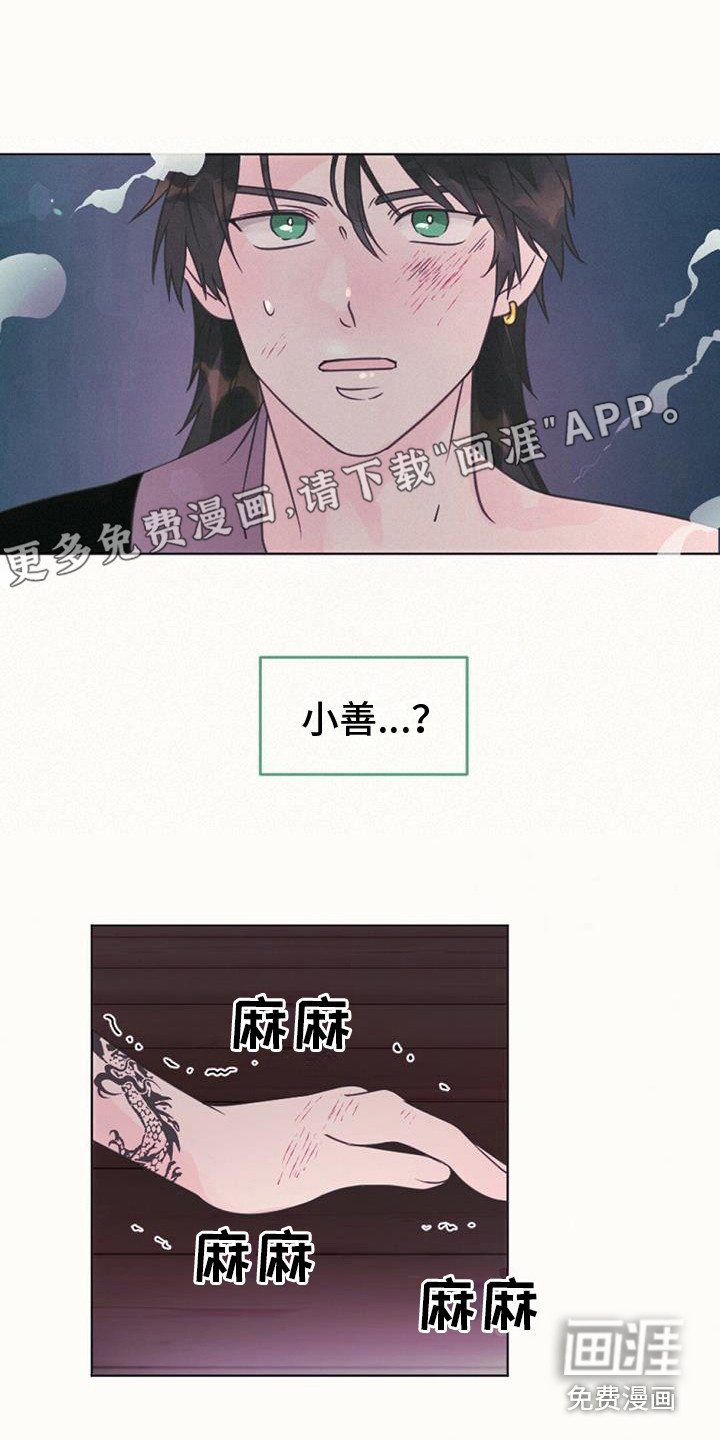 兔兔的小龙宝第16话图