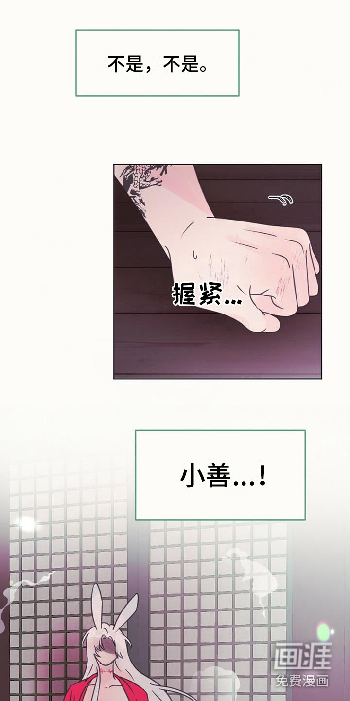 兔兔的小龙宝第16话图