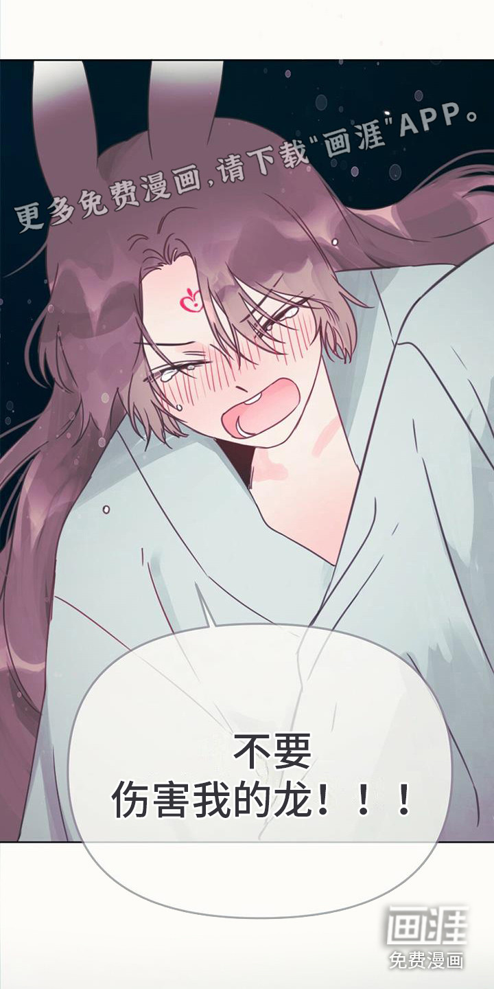 兔兔的小龙宝第17话图