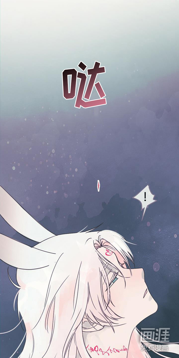 兔兔的小龙宝第17话图