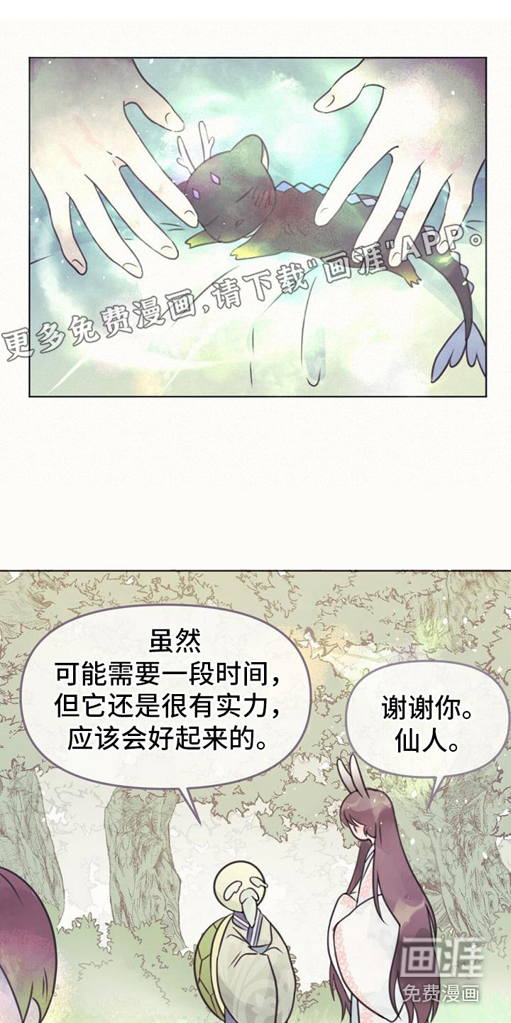 兔兔的小龙宝第21话图