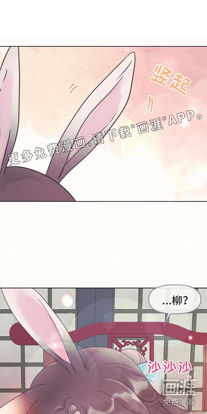 兔兔的小龙宝第22话图