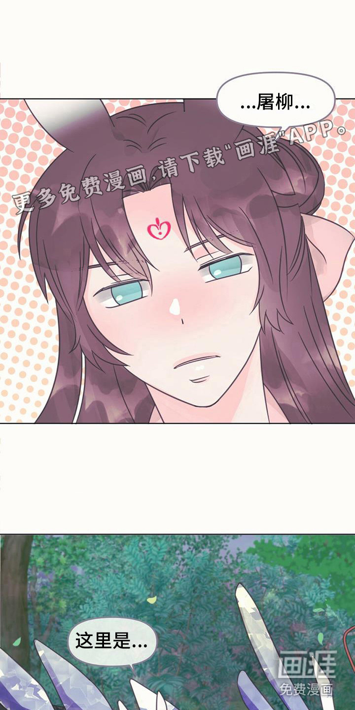 兔兔的小龙宝第24话图