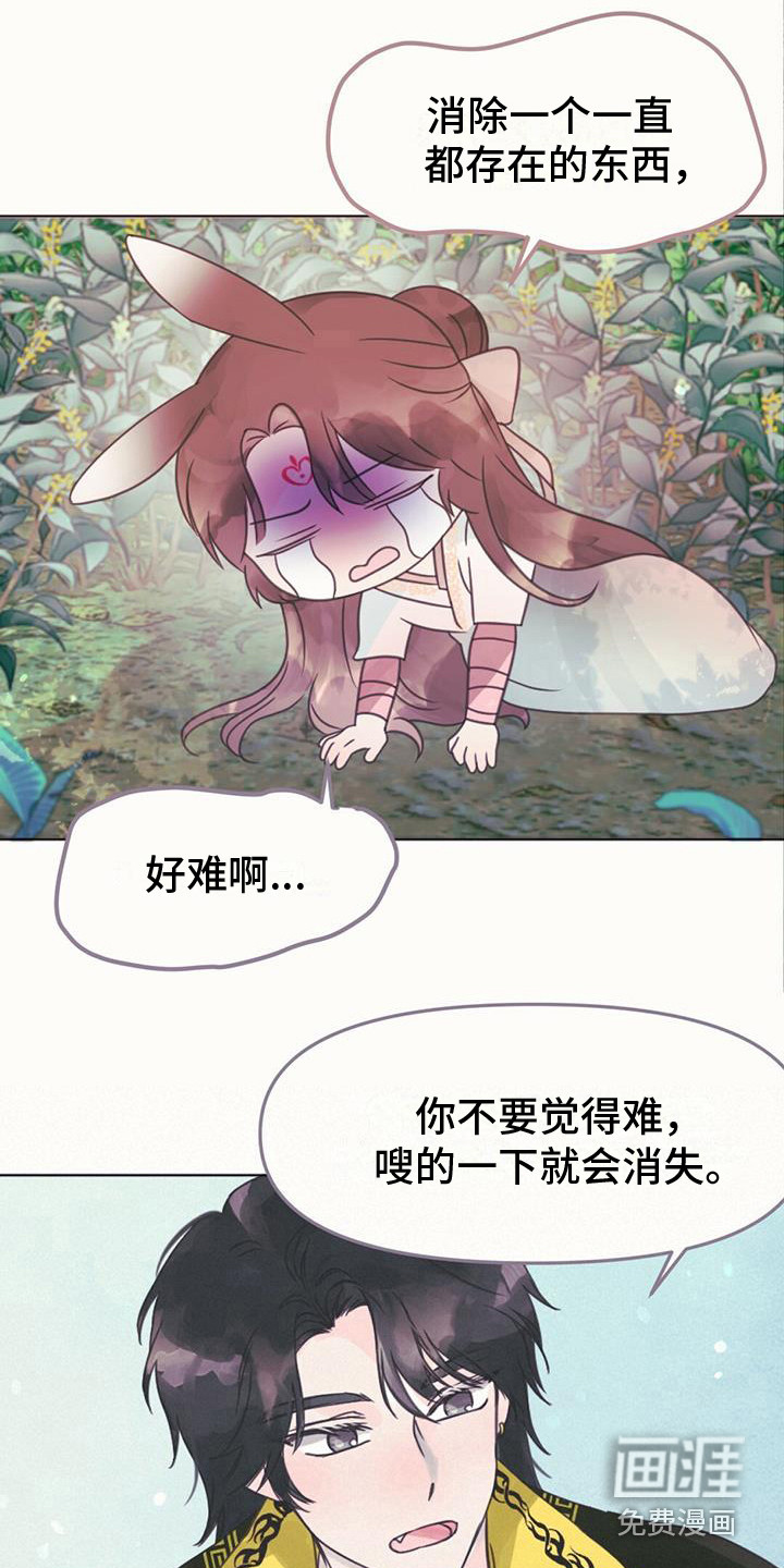 兔兔的小龙宝第25话图