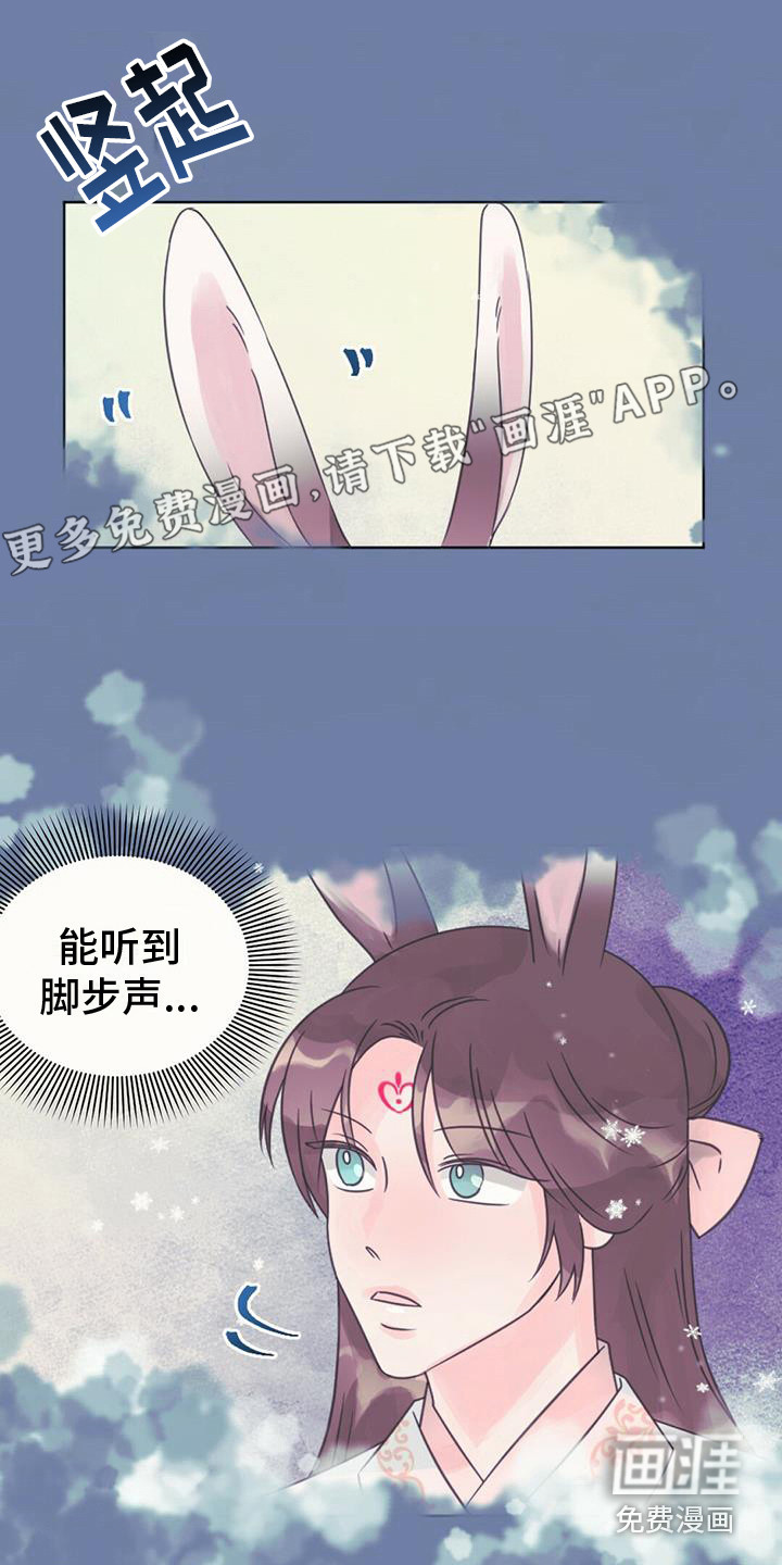 兔兔的小龙宝第26话图