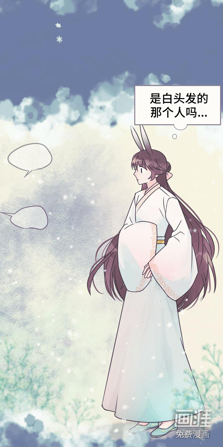 兔兔的小龙宝第26话图