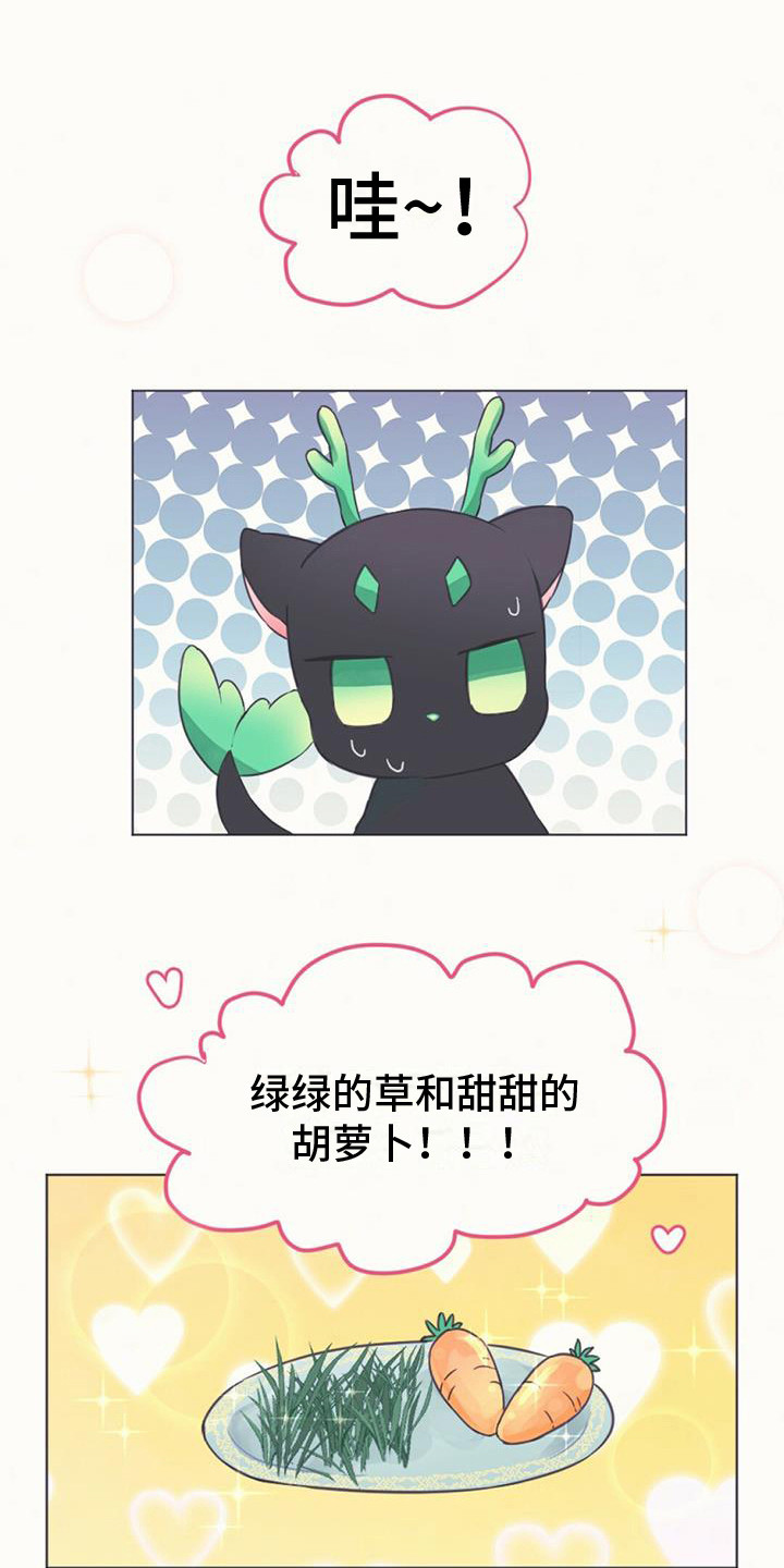 兔兔的小龙宝第3话图