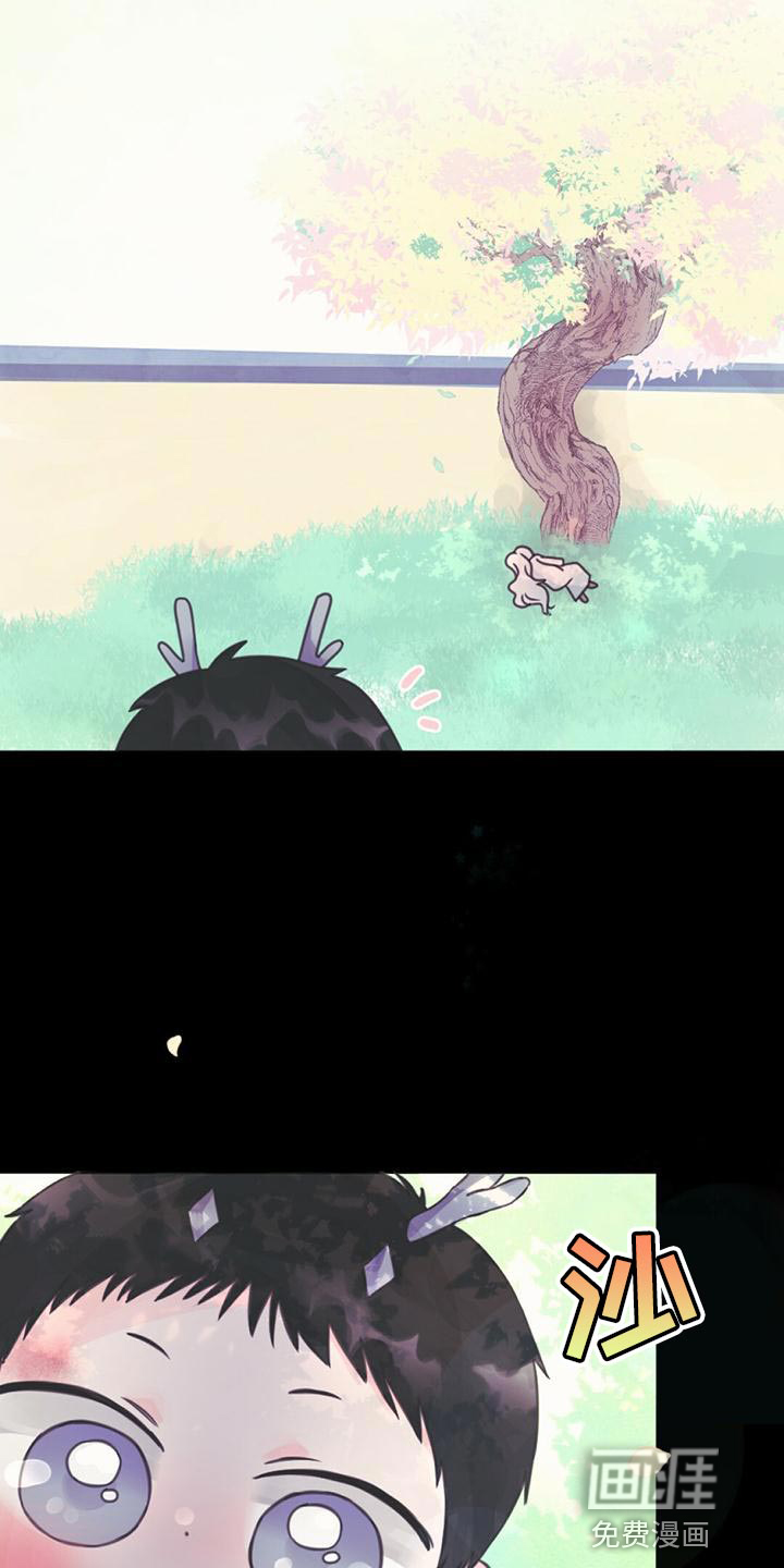 兔兔的小龙宝第31话图