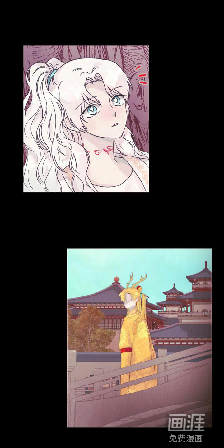 兔兔的小龙宝第35话图