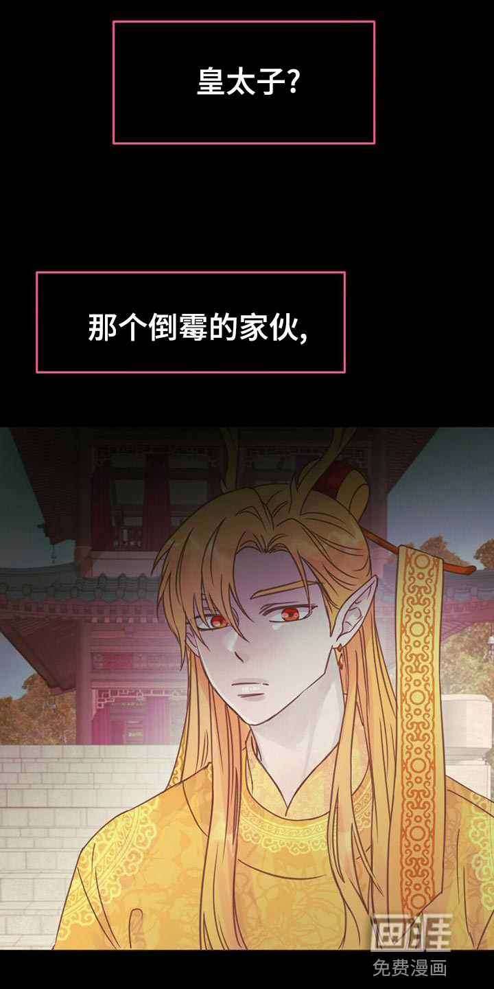 兔兔的小龙宝第35话图