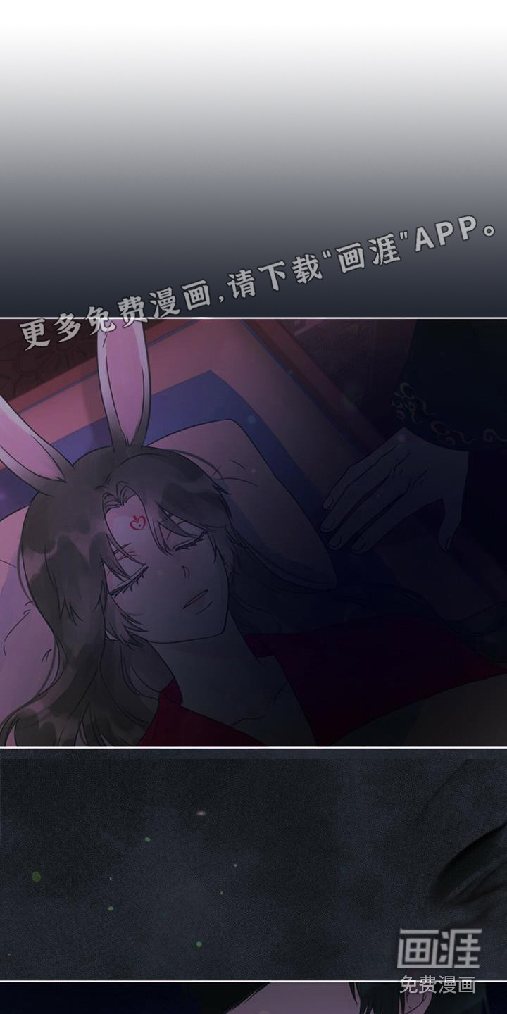 兔兔的小龙宝第4话图