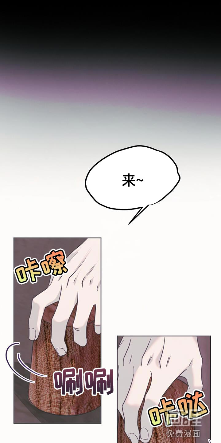 兔兔的小龙宝第44话图