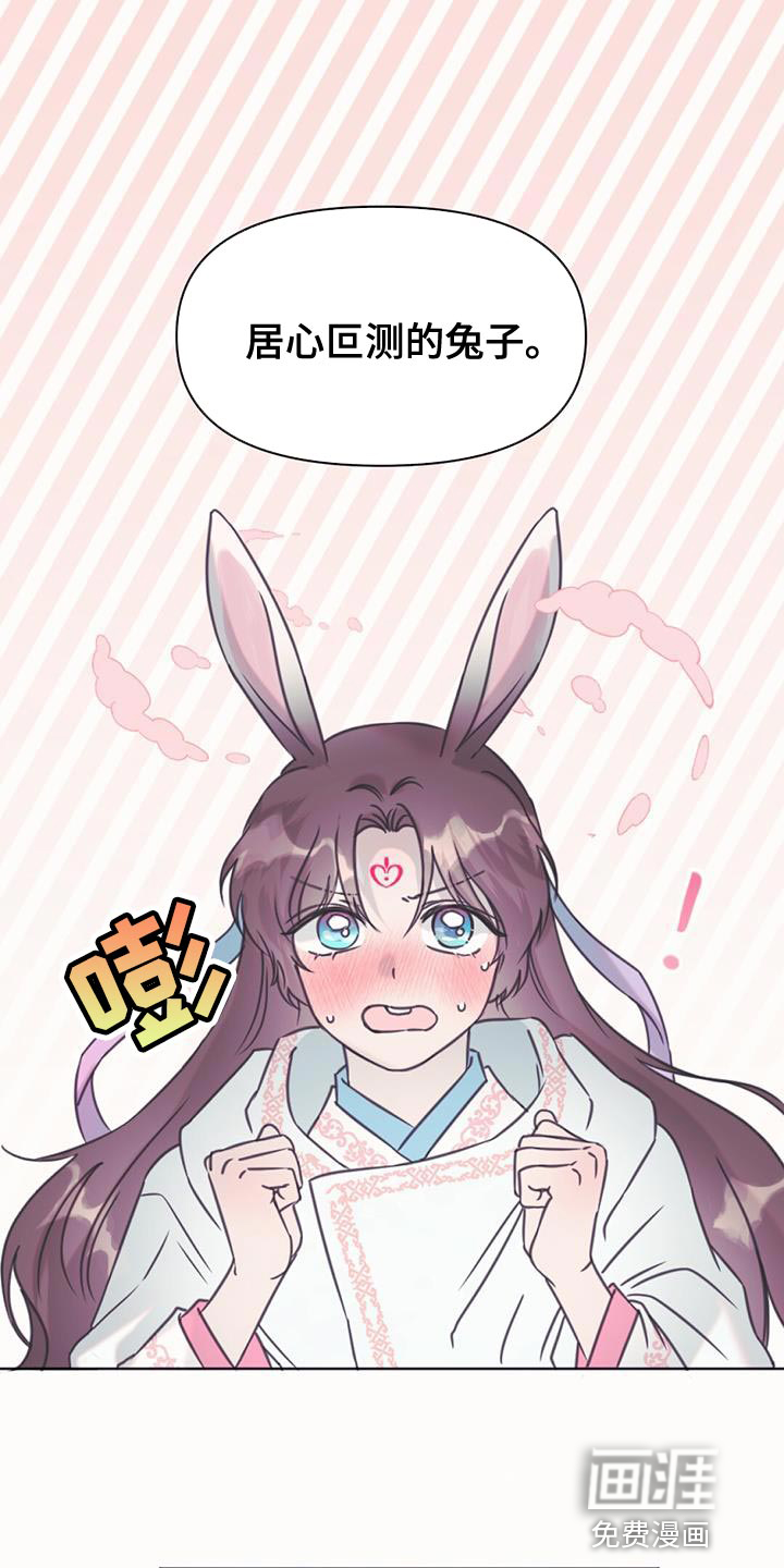 兔兔的小龙宝第47话图