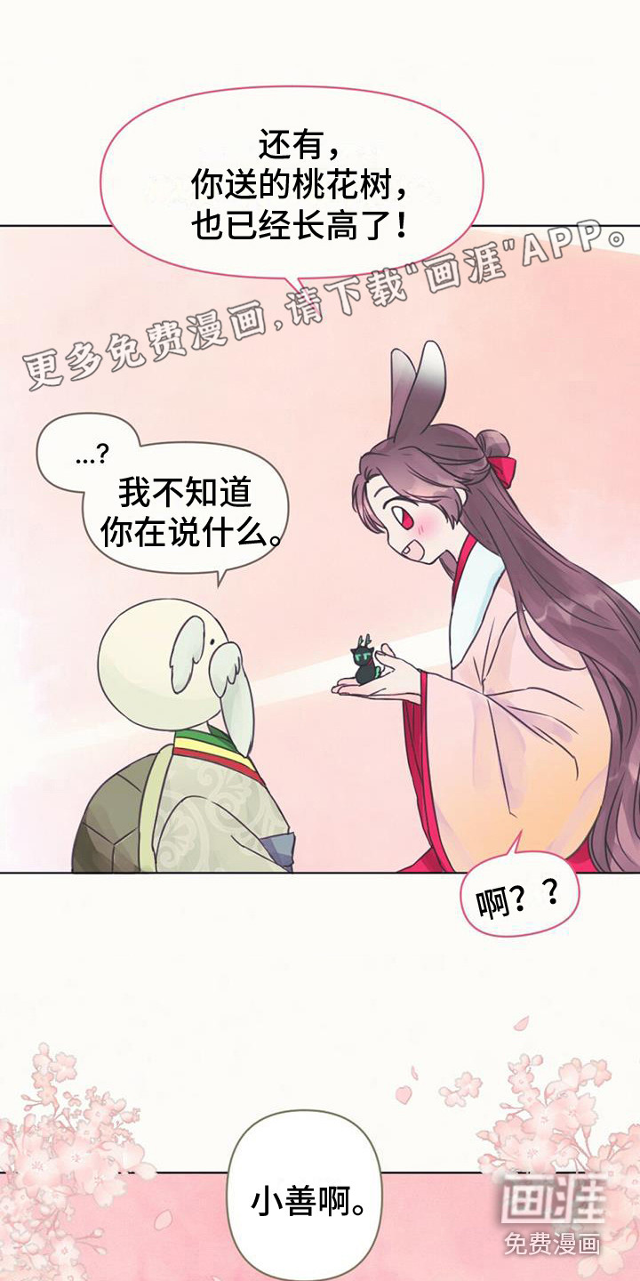 兔兔的小龙宝第6话图