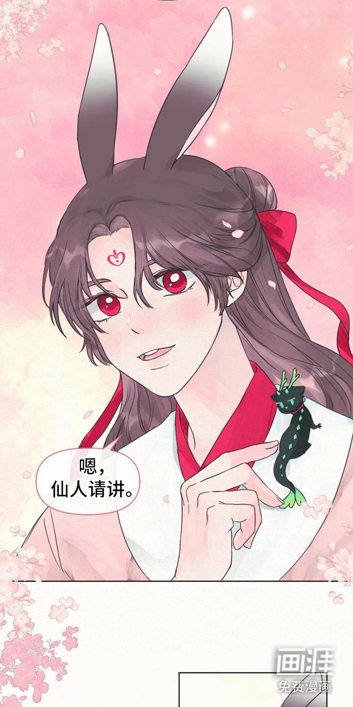 兔兔的小龙宝第6话图