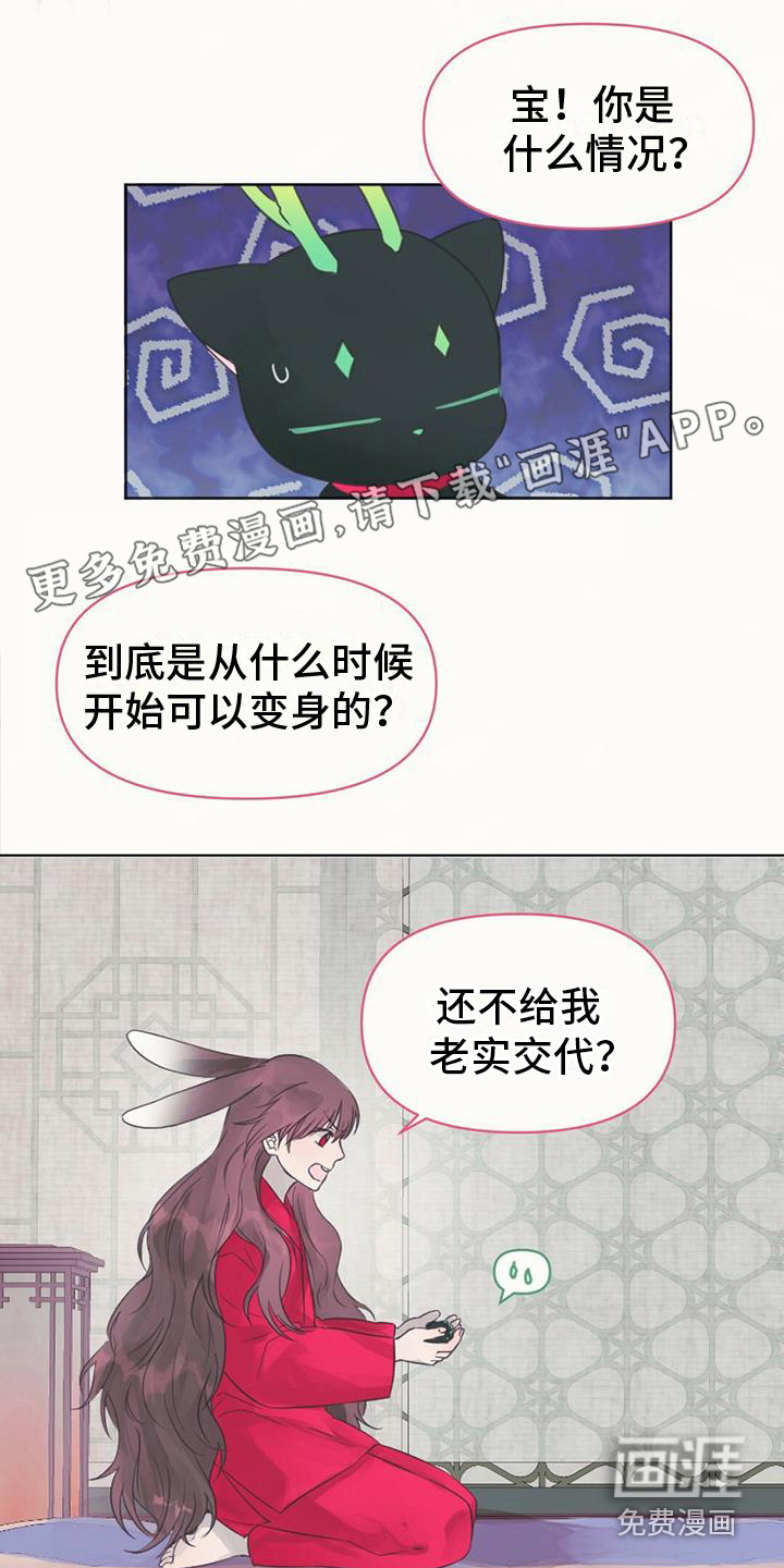 兔兔的小龙宝第8话图