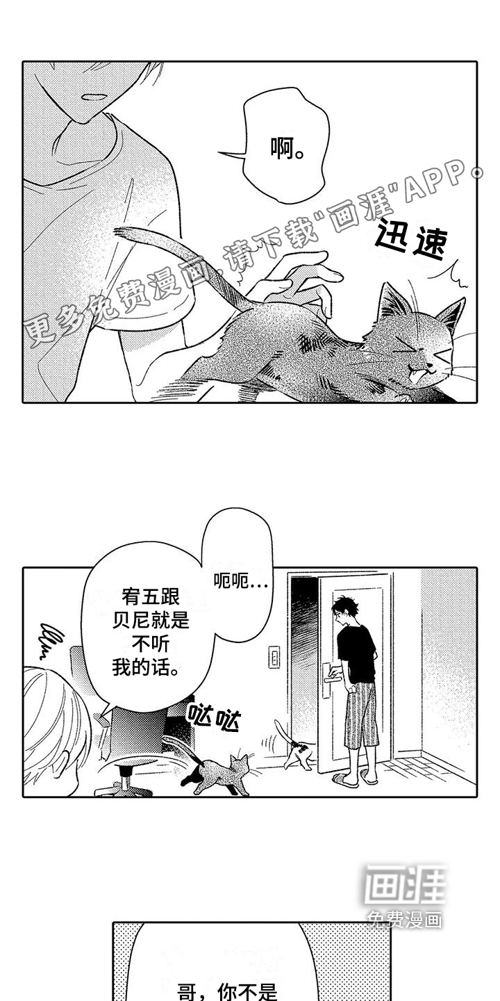 甜蜜的部分第10话图