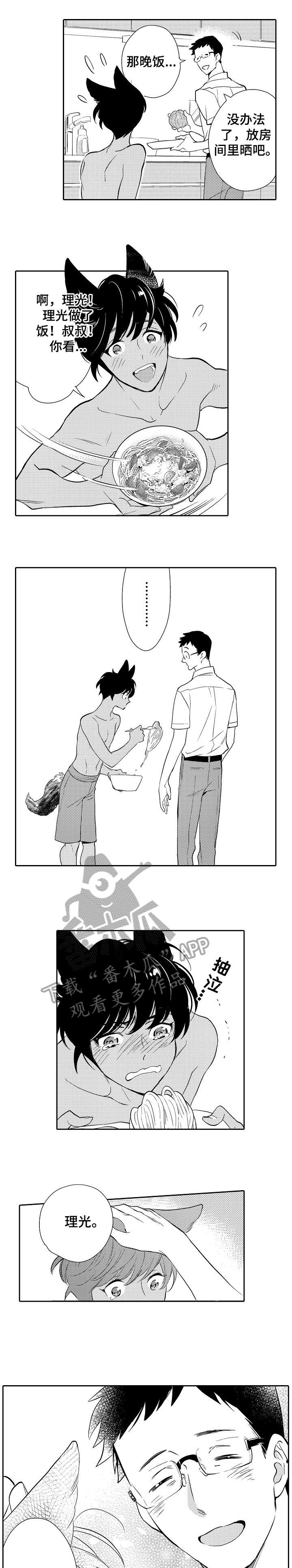 他带来了光第11话图