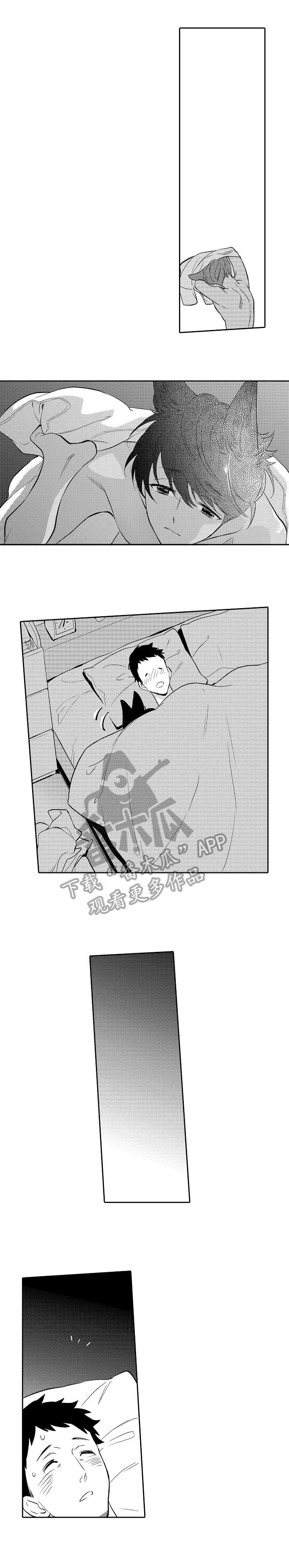 他带来了光第12话图